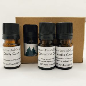 Holiday Essential Oil Kit