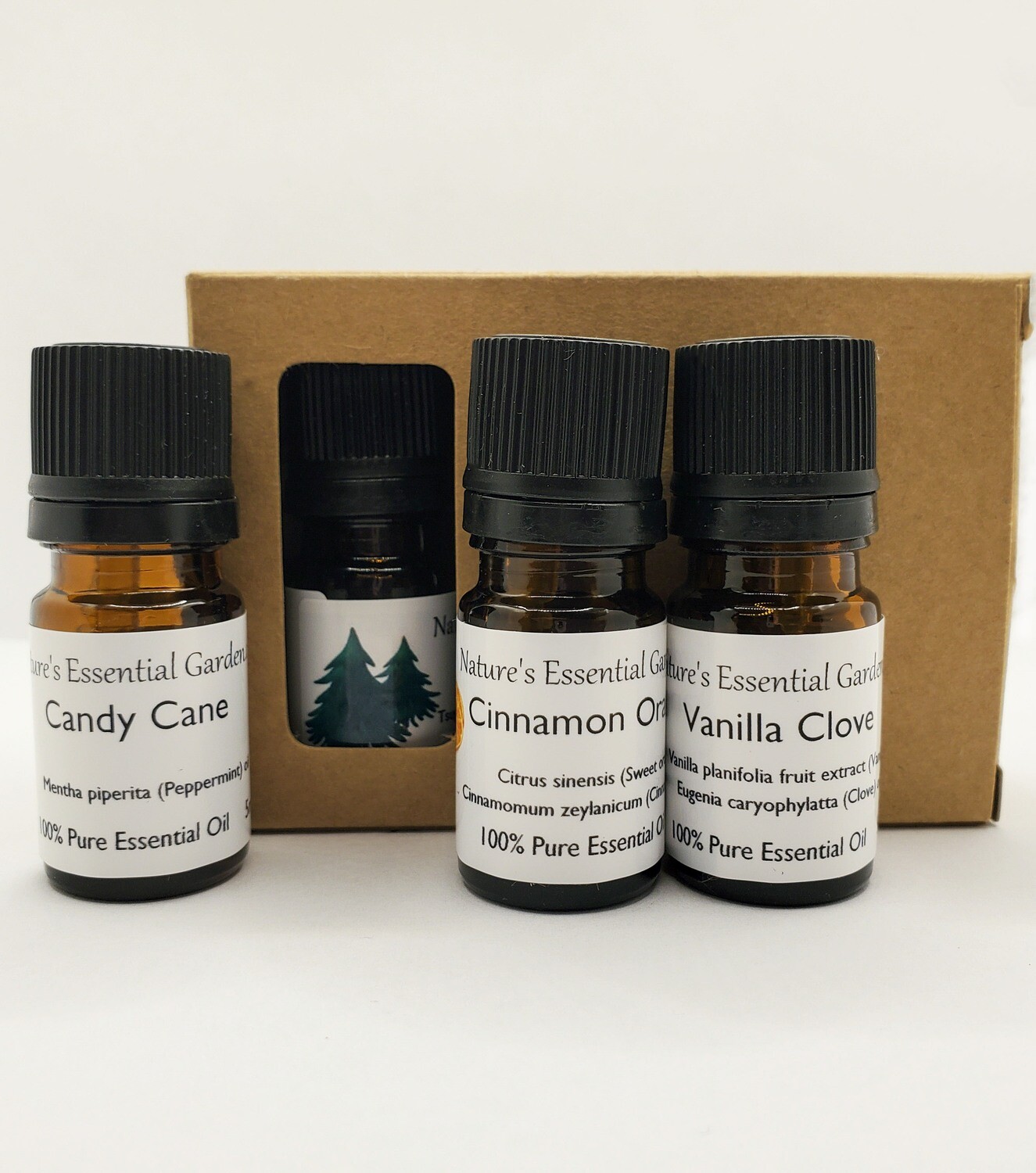Holiday Essential Oil Kit